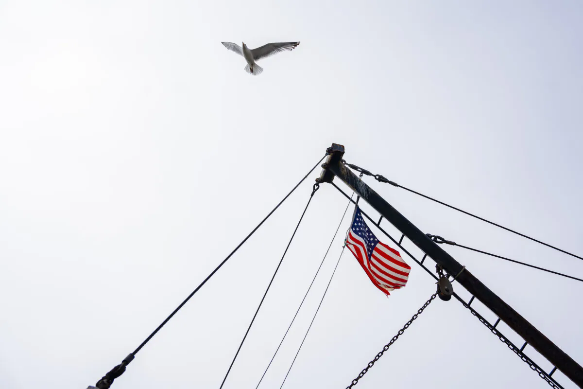 A seagull flies past a fishing boat in a file photo. (Samira Bouaou/The Epoch Times)