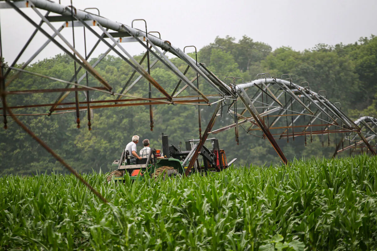 Indiana farmers ride a tractor through their cornfield in a file photo. (Scott Olson/Getty Images)