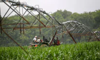The Farm Bill Will Not Save Us but It Still Matters