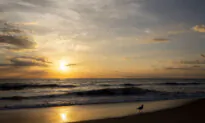 For Beach Lovers, Florida’s Anastasia Island Is a Pristine Paradise