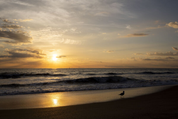 For Beach Lovers, Florida’s Anastasia Island Is a Pristine Paradise