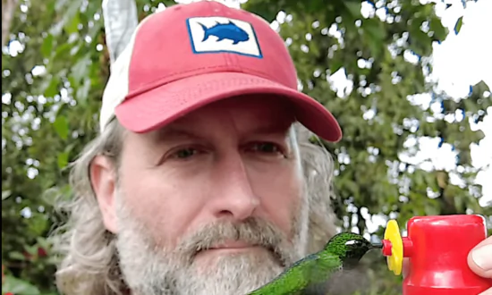 Man Holds Birdfeeder as Hummingbird Eats From It