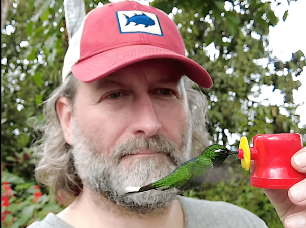 Man Holds Birdfeeder as Hummingbird Eats From It