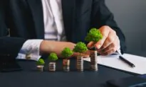 What Should You Invest In?
