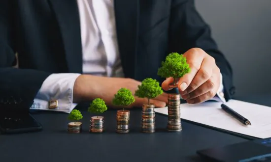 What Should You Invest In?