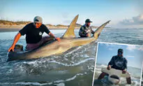 Texas Angler ‘Blessed’ to Reel In Huge Hammerhead in South Texas Gulf Coast—Over 13 Feet Long