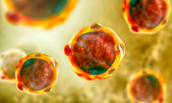 ‘Parasite’ Found in Healthy People: Study