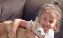 Baby Goat and Baby Girl Play Together