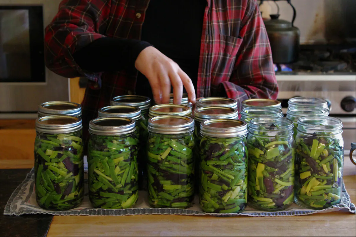Pressure canning green beans cooks them in the process. (Courtesy of Homesteading Family)