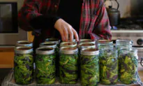 Raw Pack Pressure Canned Green Beans
