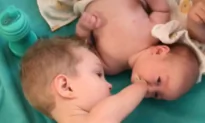 Little Boy Gives Baby Brother Pacifier