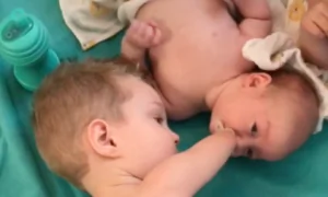 Little Boy Gives Baby Brother Pacifier