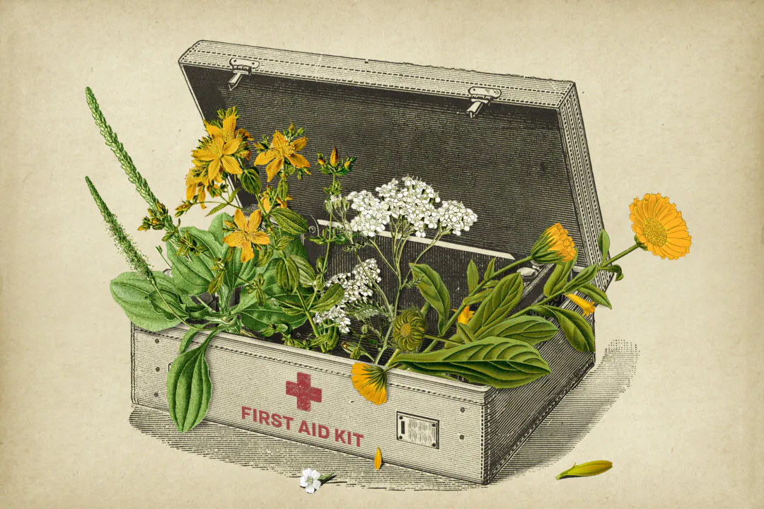 (Illustration by The Epoch Times, Getty Images, Public Domain)