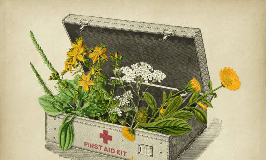 I’m an Herbalist, and These Are the 4 Essential Herbs in My First-Aid Kit