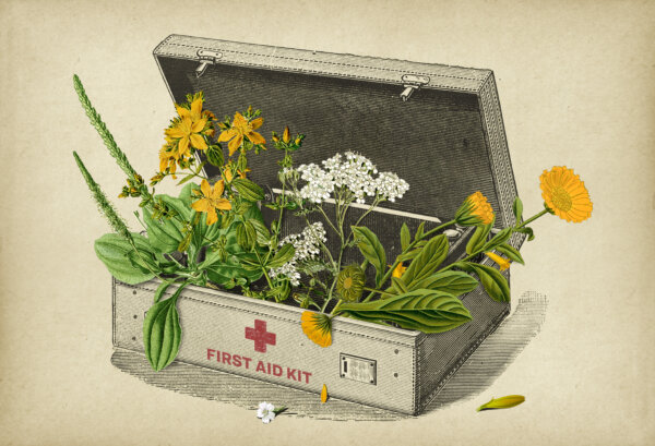 I'm an Herbalist, and These Are the 4 Essential Herbs in My First-Aid Kit