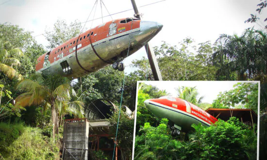 Man Turns Rotted Boeing 727 Airliner Into Stunning Beachside Suite In Jungle—Look Inside