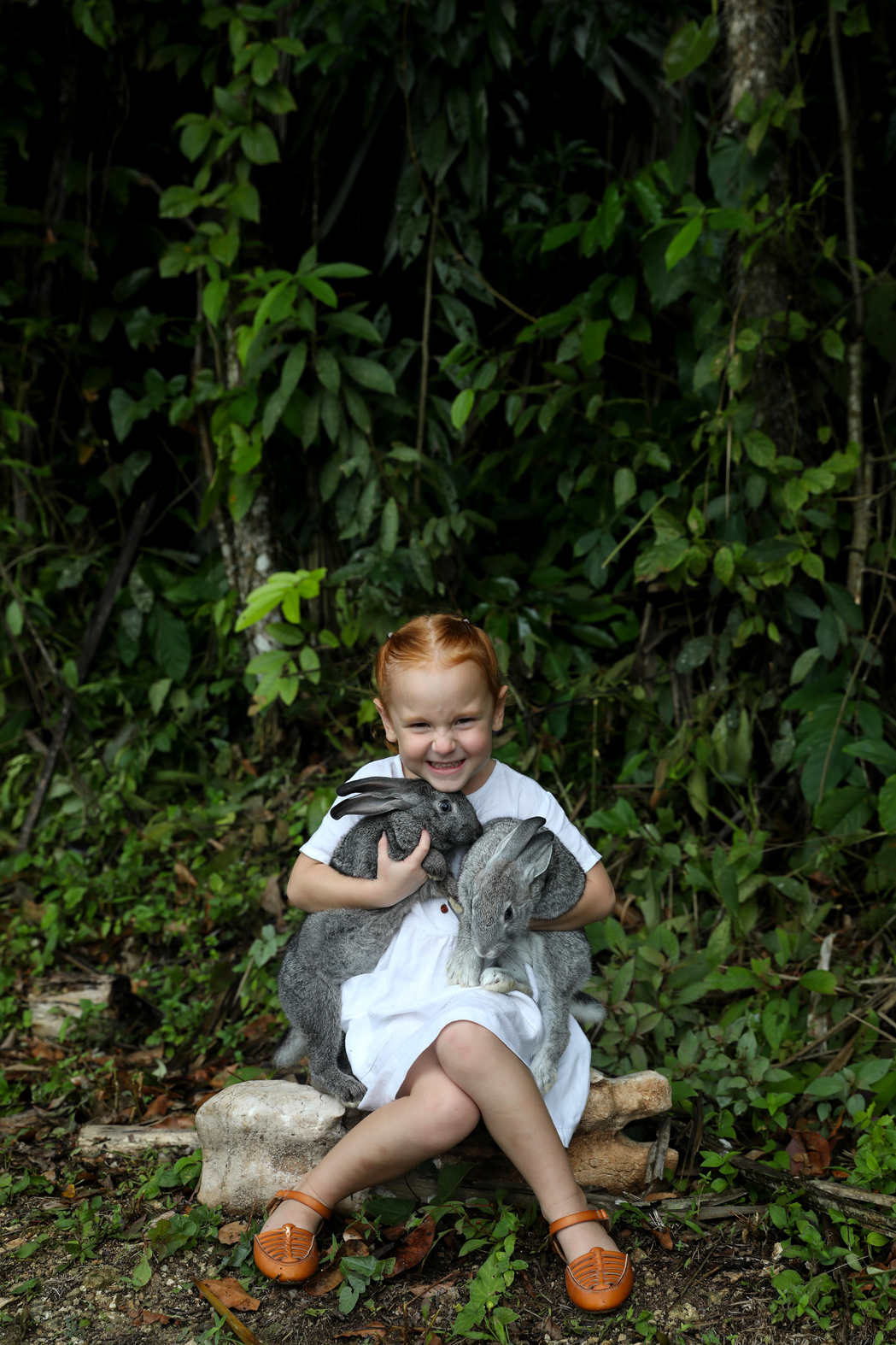 Willow with the wild rabbits.