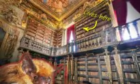 Beautiful 300-Year-Old Library Has Bats to Control Pests, Hunt Insects That Eat Paper, Old Books