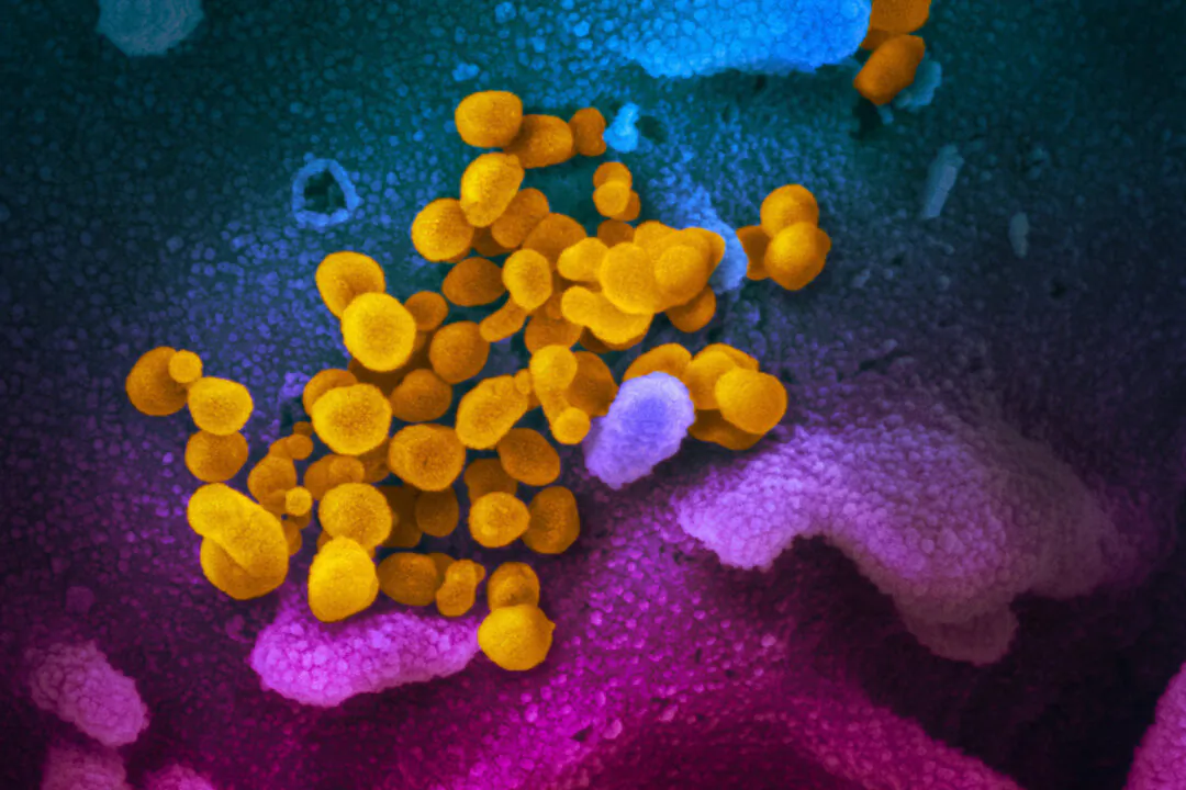 Chronic Fatigue Syndrome ‘No More Likely’ After COVID Than Other Infections, CDC Study Finds