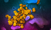 CDC Confirms New COVID Variant on the Rise