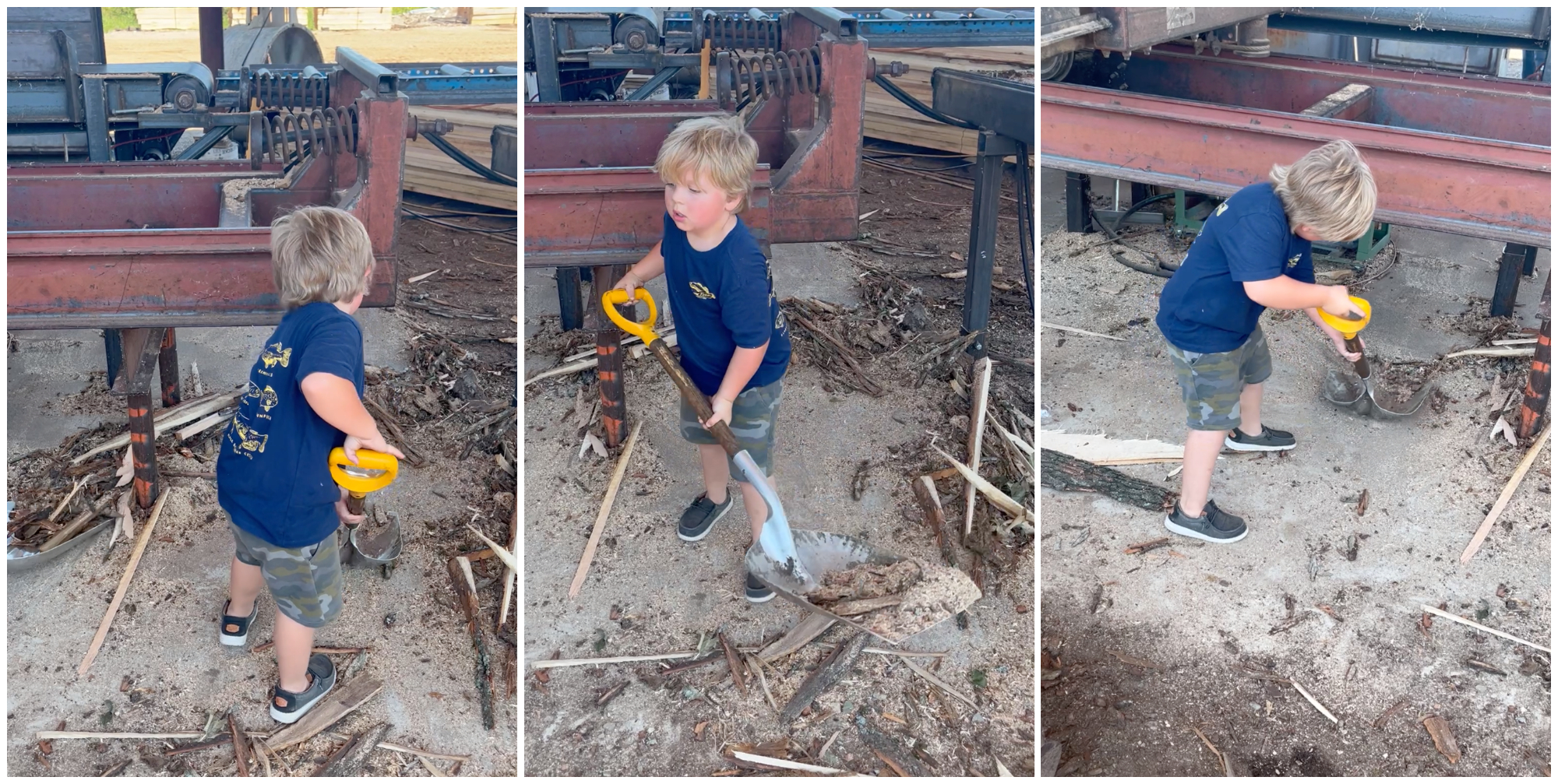 Jude works hard on the farm.