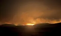 Man Under Arrest on Suspicion of Starting California Wildfire, Prosecutor Says