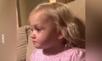 Dinosaur Makes Kid Sad