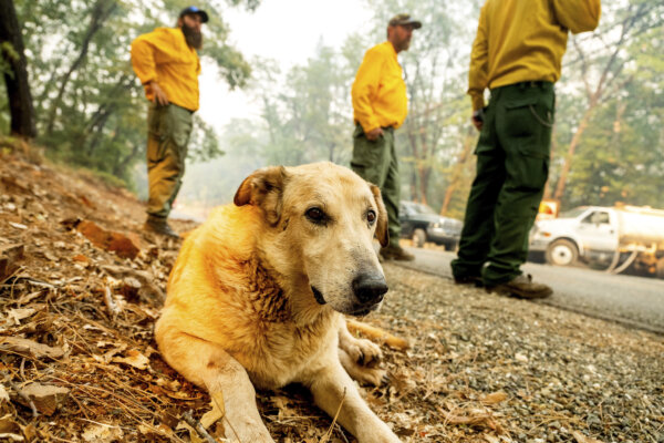 Epoch Times Photo