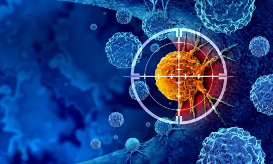Six Innovative Cancer Therapies for 2024