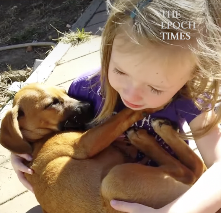 Girl Sings Dog to Sleep