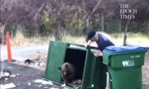 Firefighters Rescue Bear Cubs