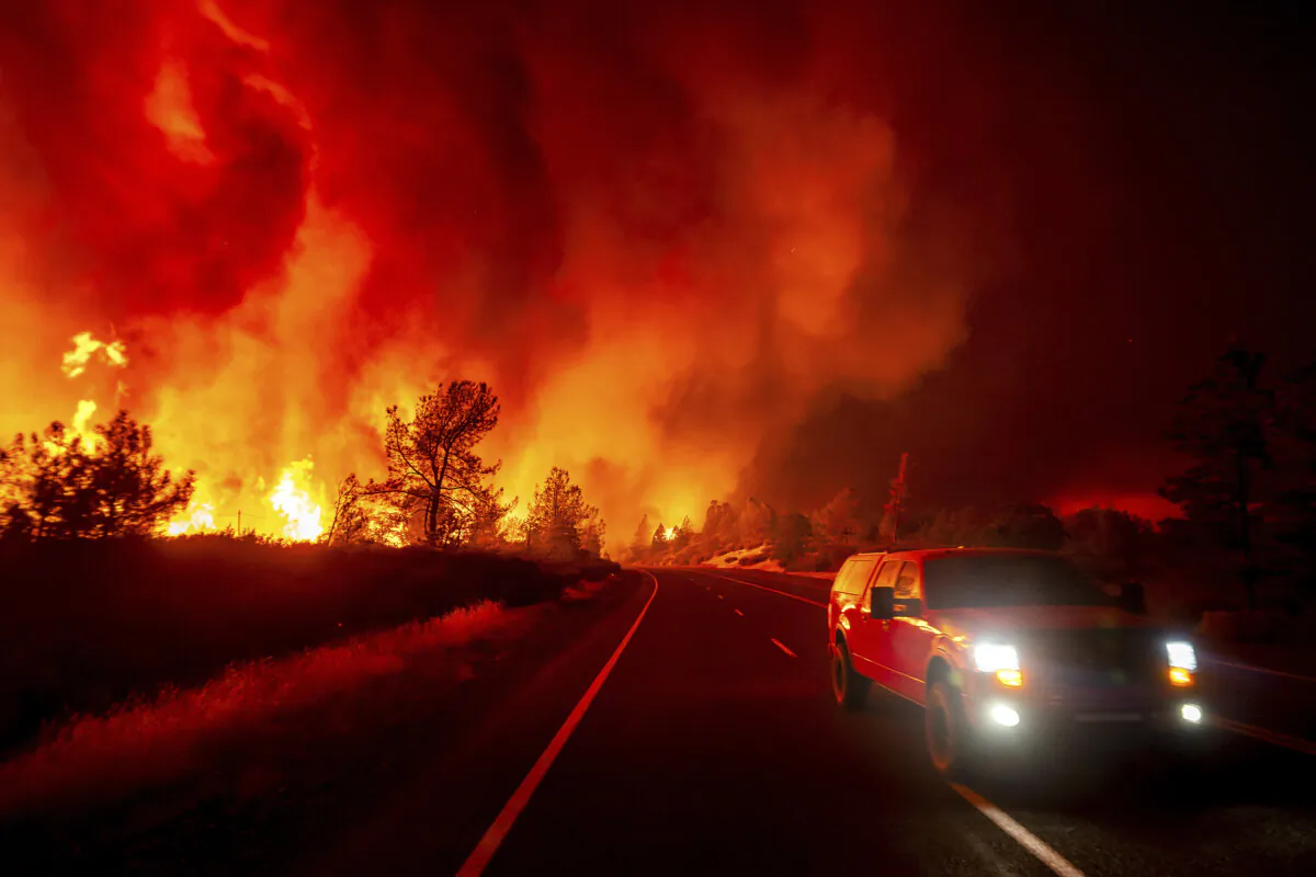 Smoke rises above the roadway as the Park Fire jumps Highway 36 near Paynes Creek in Tehama County, Calif., on July 26, 2024. (Noah Berger/AP Photo)