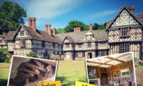 Husband and Wife Buy Her 500-Year-Old Childhood Home Left to Rot—Look at It After Epic Reno