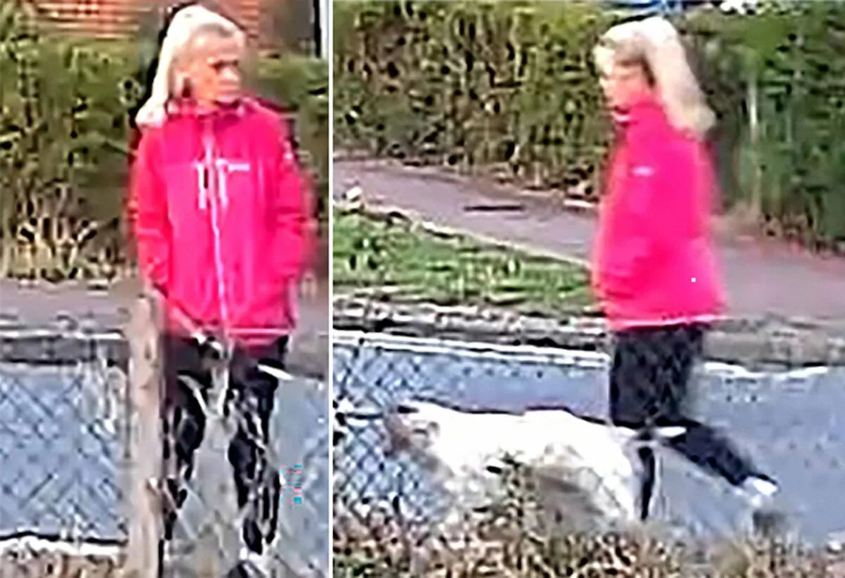 Attack victim Anita Rose, 57, seen walking her dog in a pink jacket on CCTV, in Brantham, Sussex, on July 24., 2024. (PA)