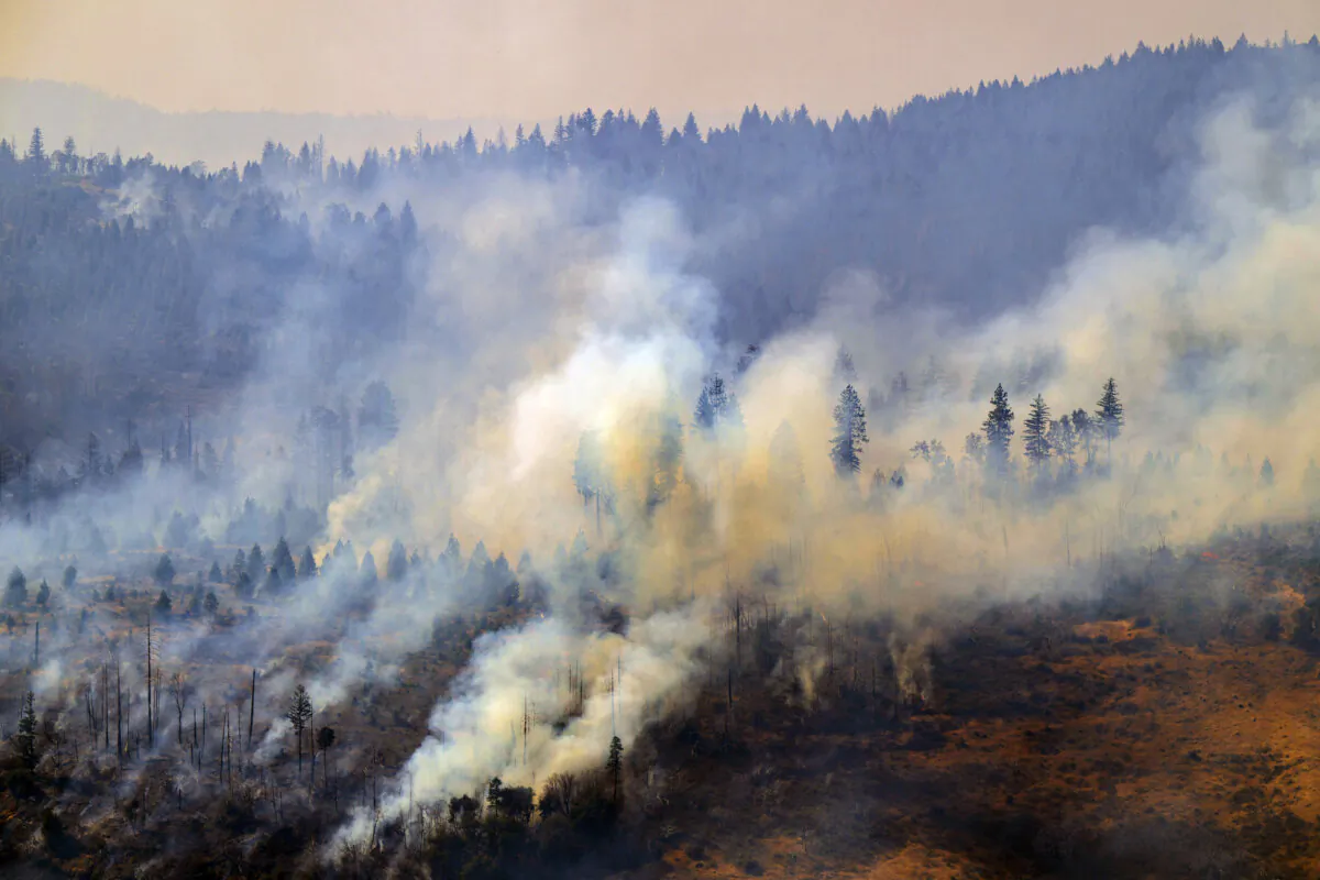 The Park Fire burns near Butte Meadows, Calif., on July 29, 2024. (Nic Coury/AP Photo)