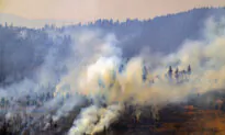 Firefighters Make Progress Against Massive Blaze in California