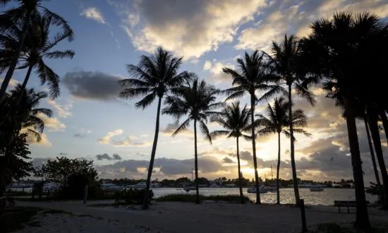An Island in the Sun: Peanut Island Has Snorkeling, Pristine Beaches, and Overnight Options