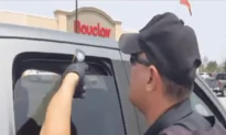 Dog Rescued From a Hot Car
