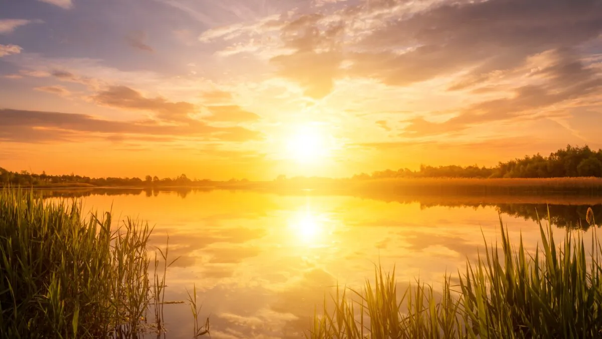 Summertime inspires an appreciation of beauty, warmth, and companionship. (EUGENE_PHOTO/SHUTTERSTOCK)
