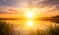 Seasonal Delights: The Writing of Summer
