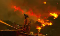San Diego Police Announce Multiple Arrests for Arson