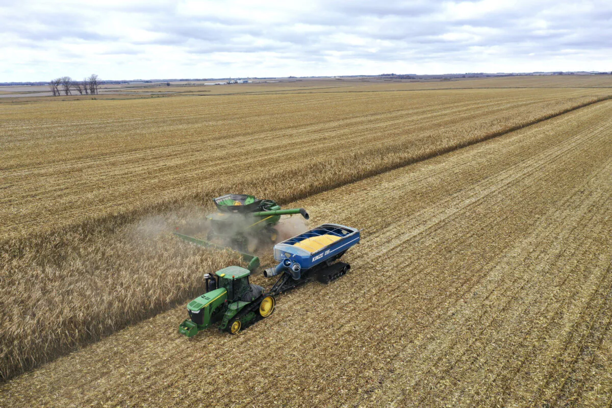 An aerial view shows workers from Pinicon Farm harvesting corn near McIntire, Iowa, on Oct. 31, 2023. (Scott Olson/Getty Images)