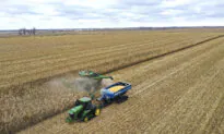 White House Weighs New Farmer Relief as Tariff War Escalates