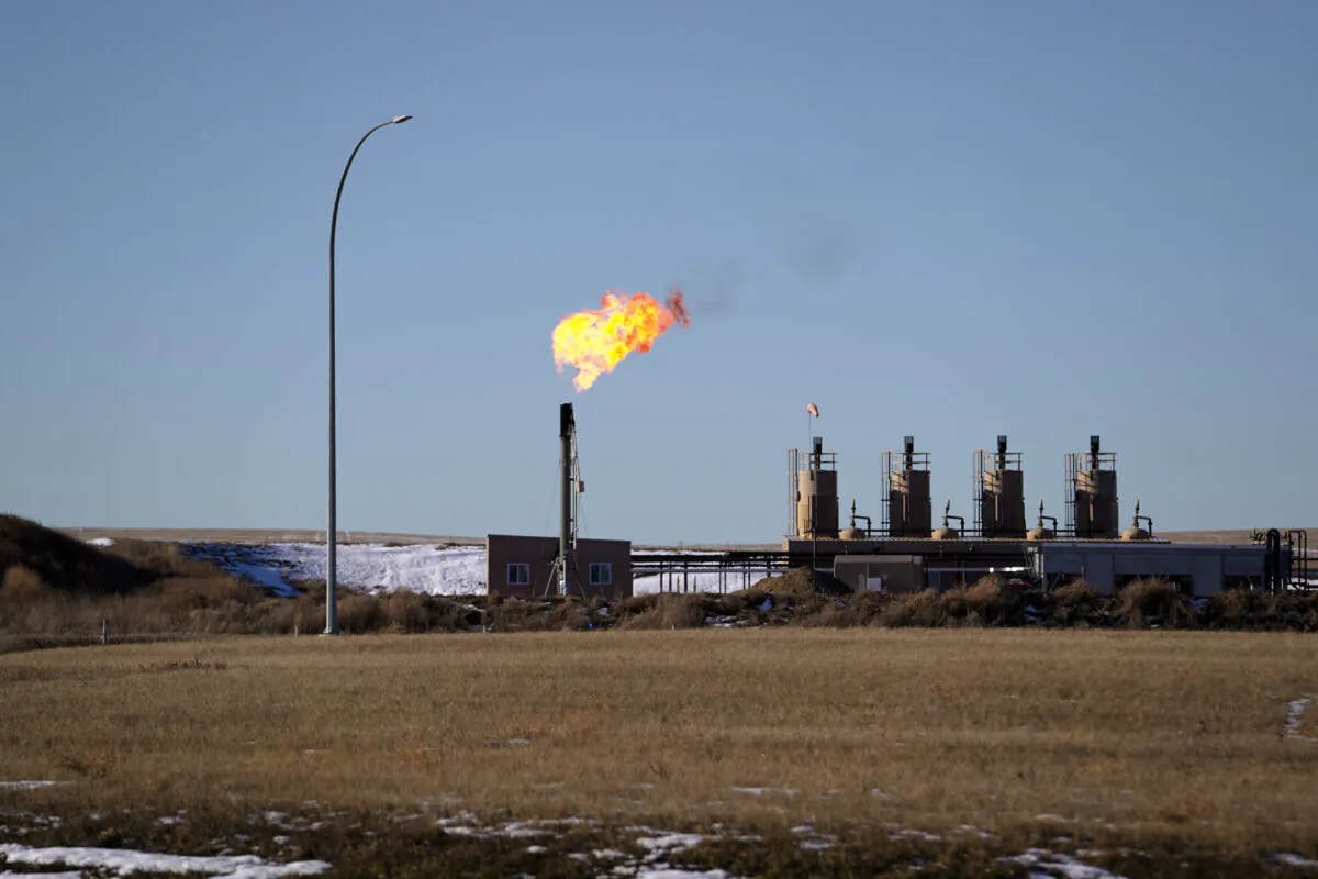 A flare burns off excess natural gas produced by oil wells in McKenzie County, in Williston, N.D., on Dec. 21, 2023. (Madalina Vasiliu/The Epoch Times)