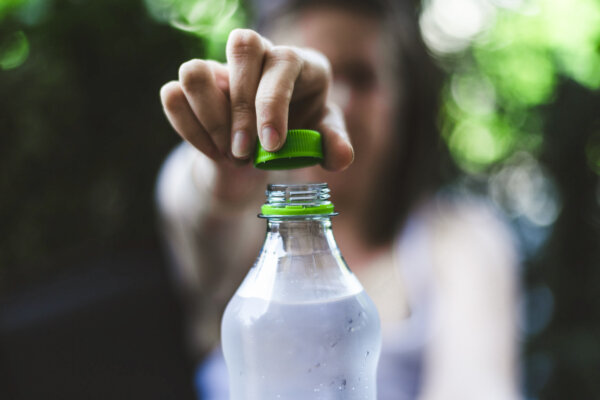 The Chemicals Making You Fat