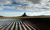 Focus on Renewable Energy Spurs Concerns Over Supply–Demand Equation
