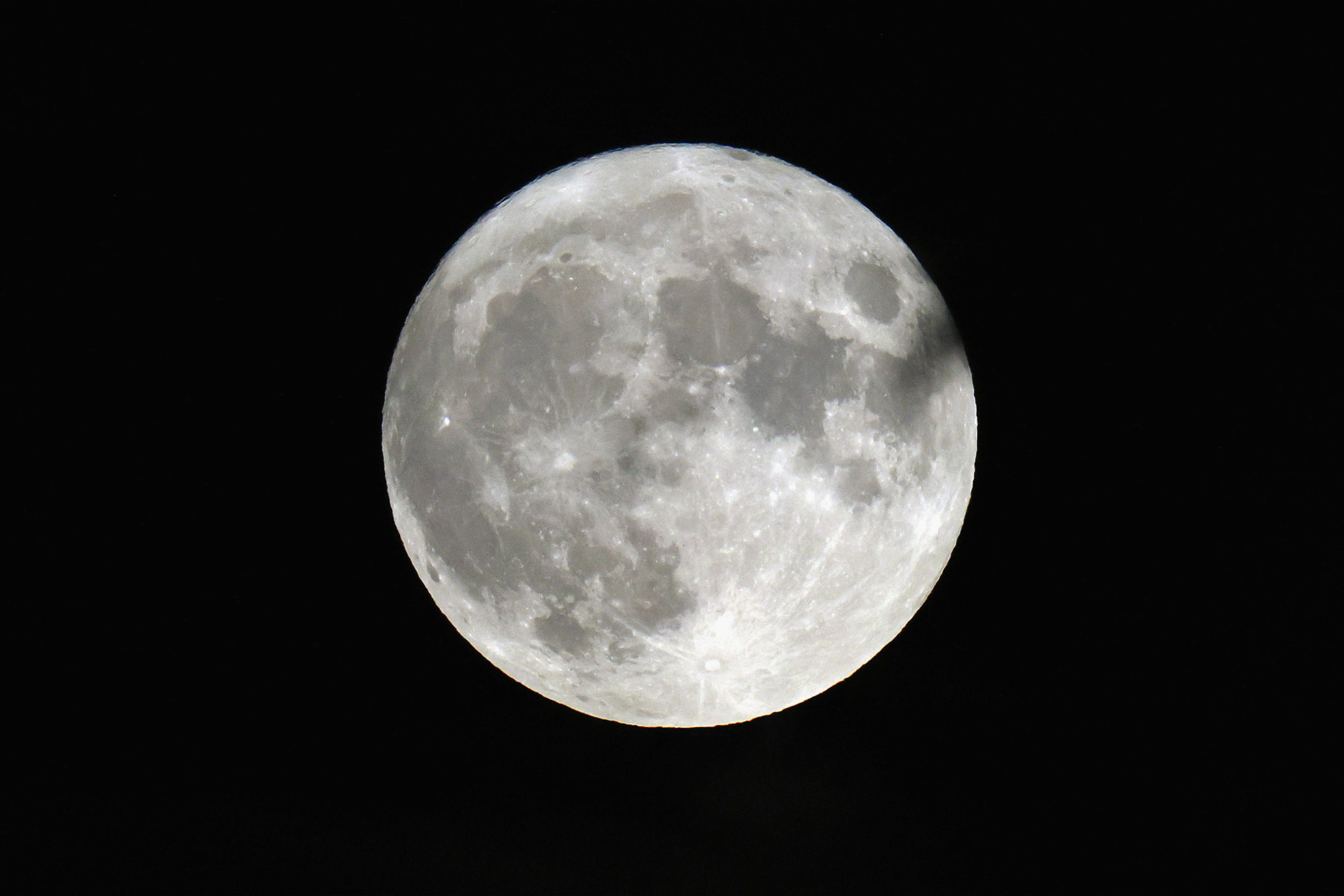Epoch Times Photo