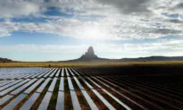 The Renewable Energy Trap: A Warning to Nations Pursuing Blind Sustainability