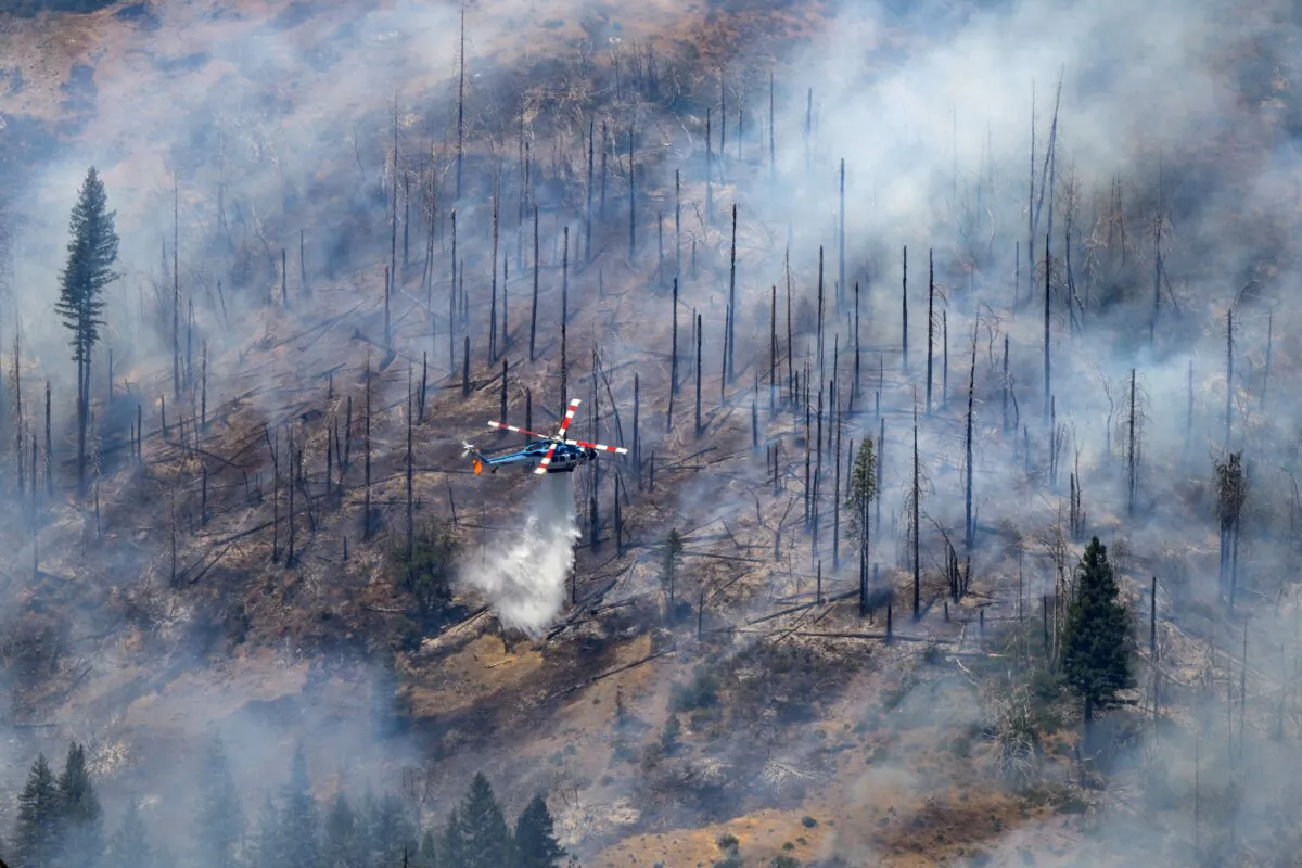 A helicopter drops water on the Park fire near Butte Meadows, Calif., on July 30, 2024. (Nic Coury/AP Photo)