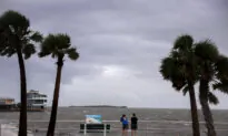 View of Florida After Hurricane Debby Touched Down